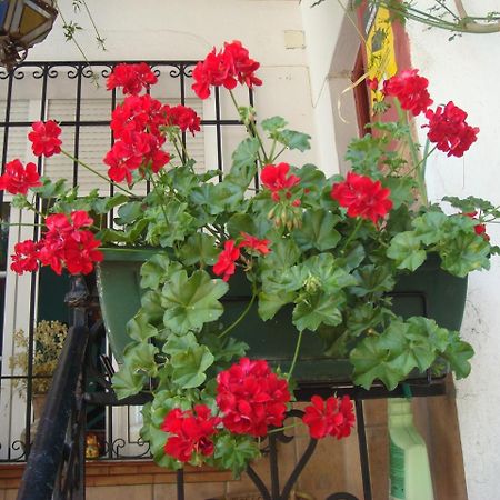 Casa Babylon Backpakers Hostel Málaga Eksteriør bilde